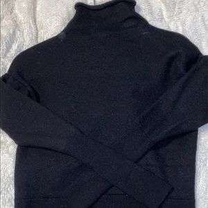 Wilfred Turtle neck from Aritzia